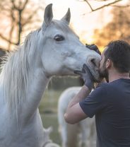 Assessing quality of life for older horses