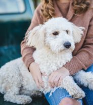 How Your Mood Affects Your Dog's Emotional Wellbeing