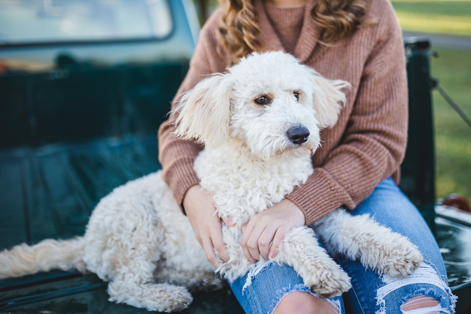 Owner cuddling dog