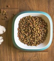 The importance of fibre in a dog's food.