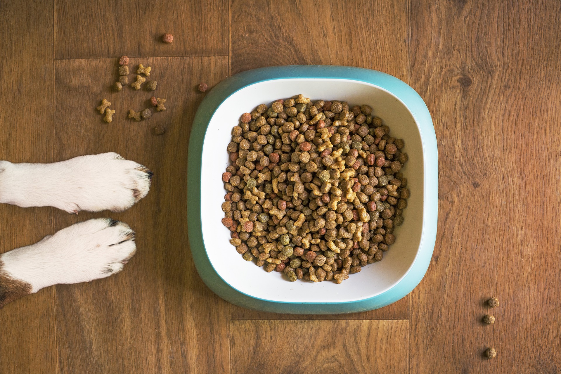 Dog food with extra fibre