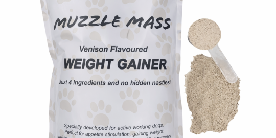 Ace Muzzle Mass hero image