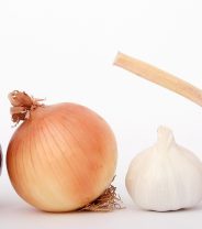 The Truth about Dogs and Garlic (as well as onions and leeks) 