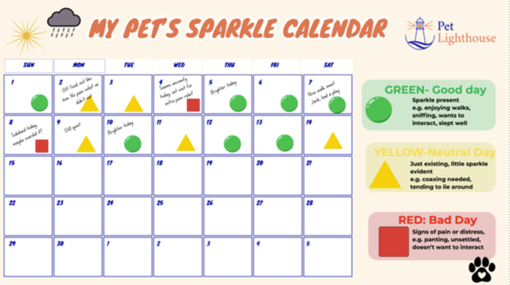 Pet Lighthouse Sparkle Calendar