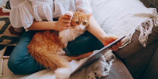 Cat sitting on woman as she tries to work - Helena Lopes
