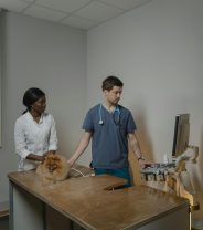 Is Your Vet Using AI? British Veterinary Association Issues Guidelines 